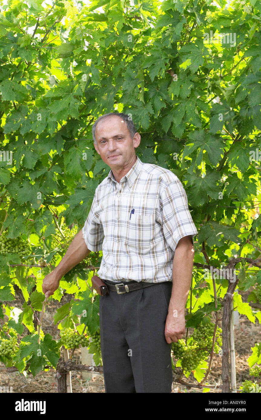 luigj-frangaj-president-of-the-nursery-in-the-vineyard-fidal-vine