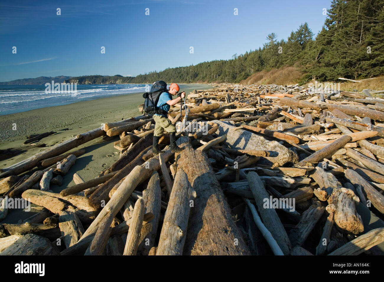 Backpacker on the Shi Shi beach in Olympic national park Stock Photo