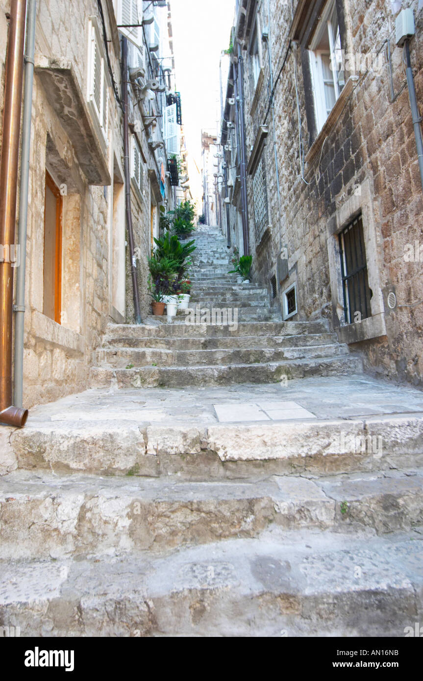 Steep stairs on a narrow street in the old town area of Kotor Stock Photo  by ©Mentor56 328624602