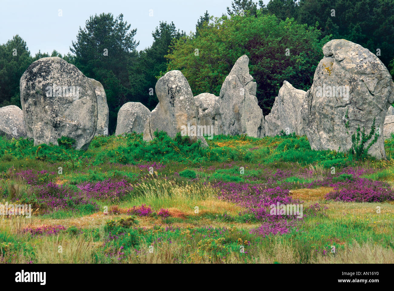 Megalithic stones, Alignment Kermario, Carnac, Brittany, France Stock Photo
