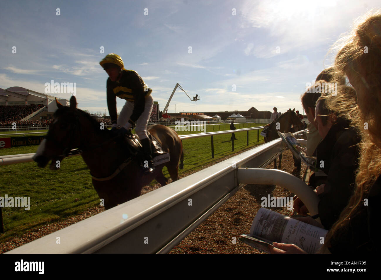 Cheltenham festival horse racing action Stock Photo