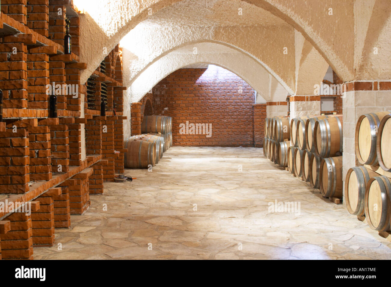 Wine cellar with bottle bins and oak barrels, arched vaulted ceiling