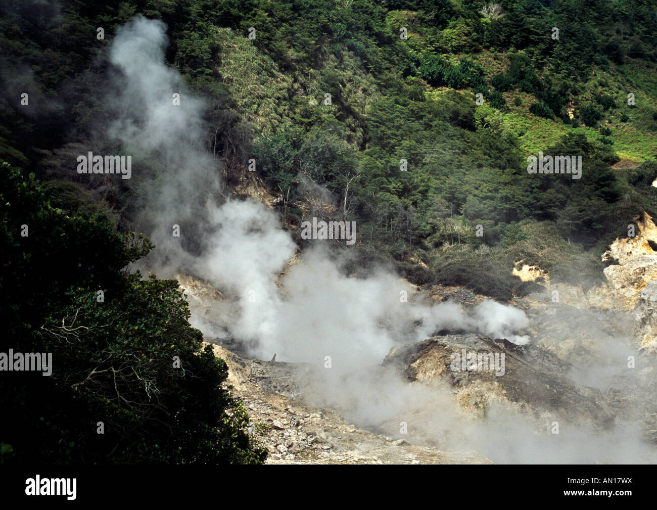 Volcanic steam rising from the ground, Caribbean Stock Photo