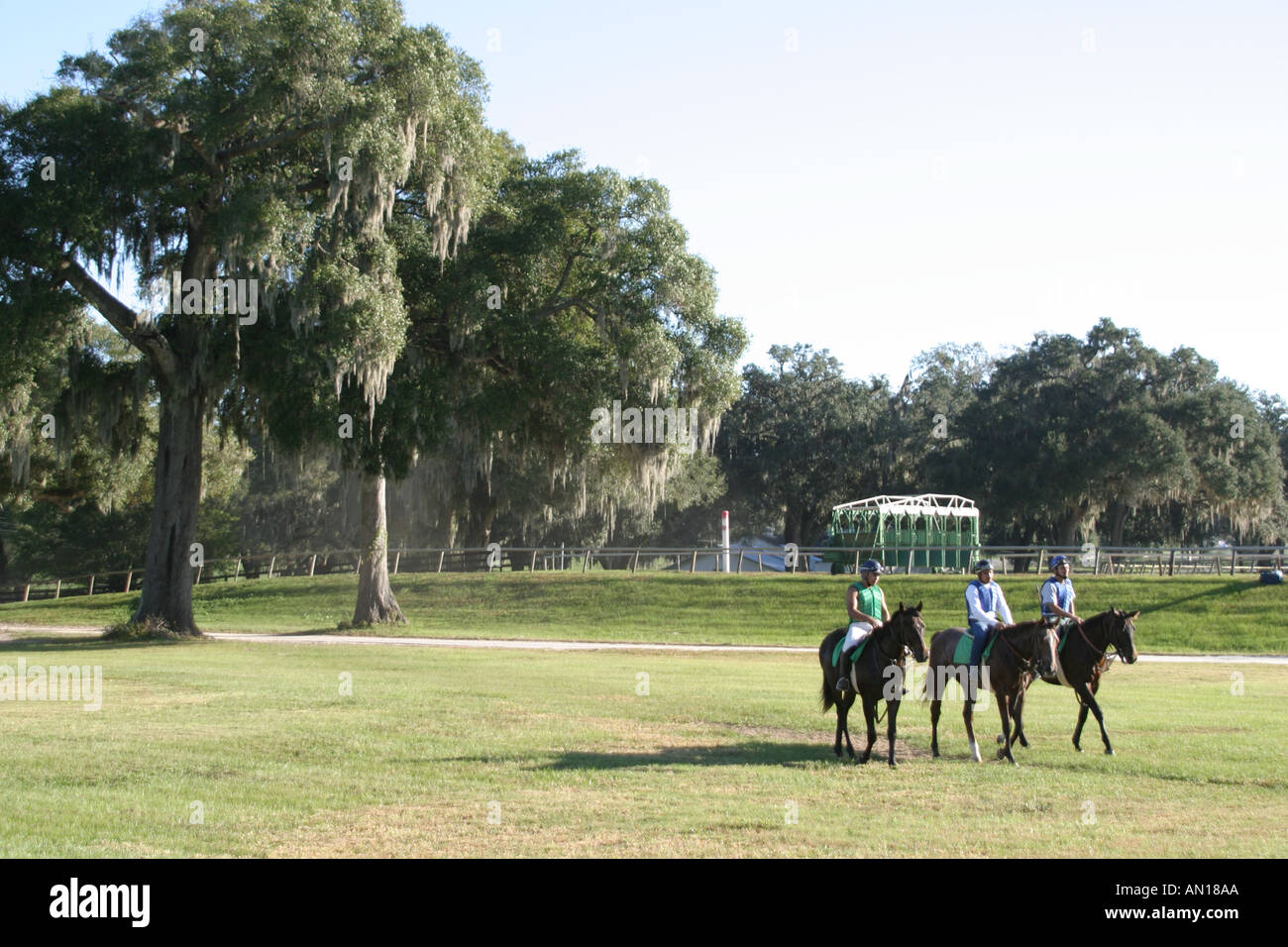 Ocala Florida,Racehorse Stud,stable devoted to training yearling