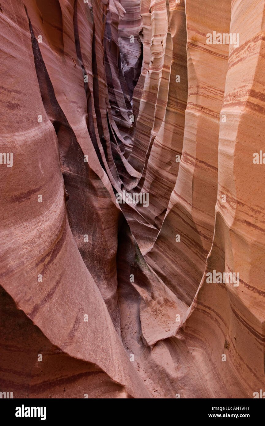 best backpacking pot set