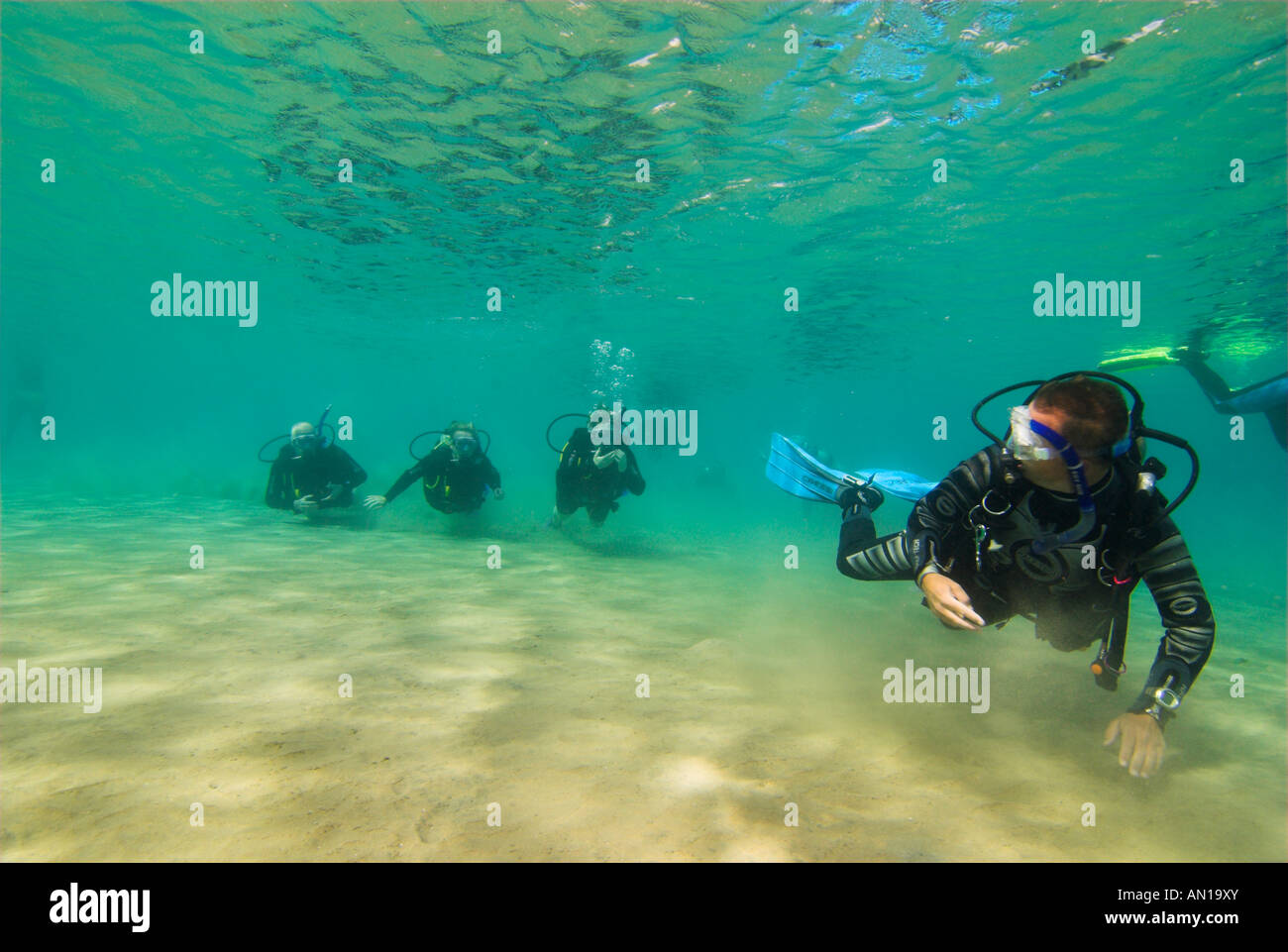 Learning to scuba dive very shallow water Sharm El Sheikh instructor looking back Stock Photo