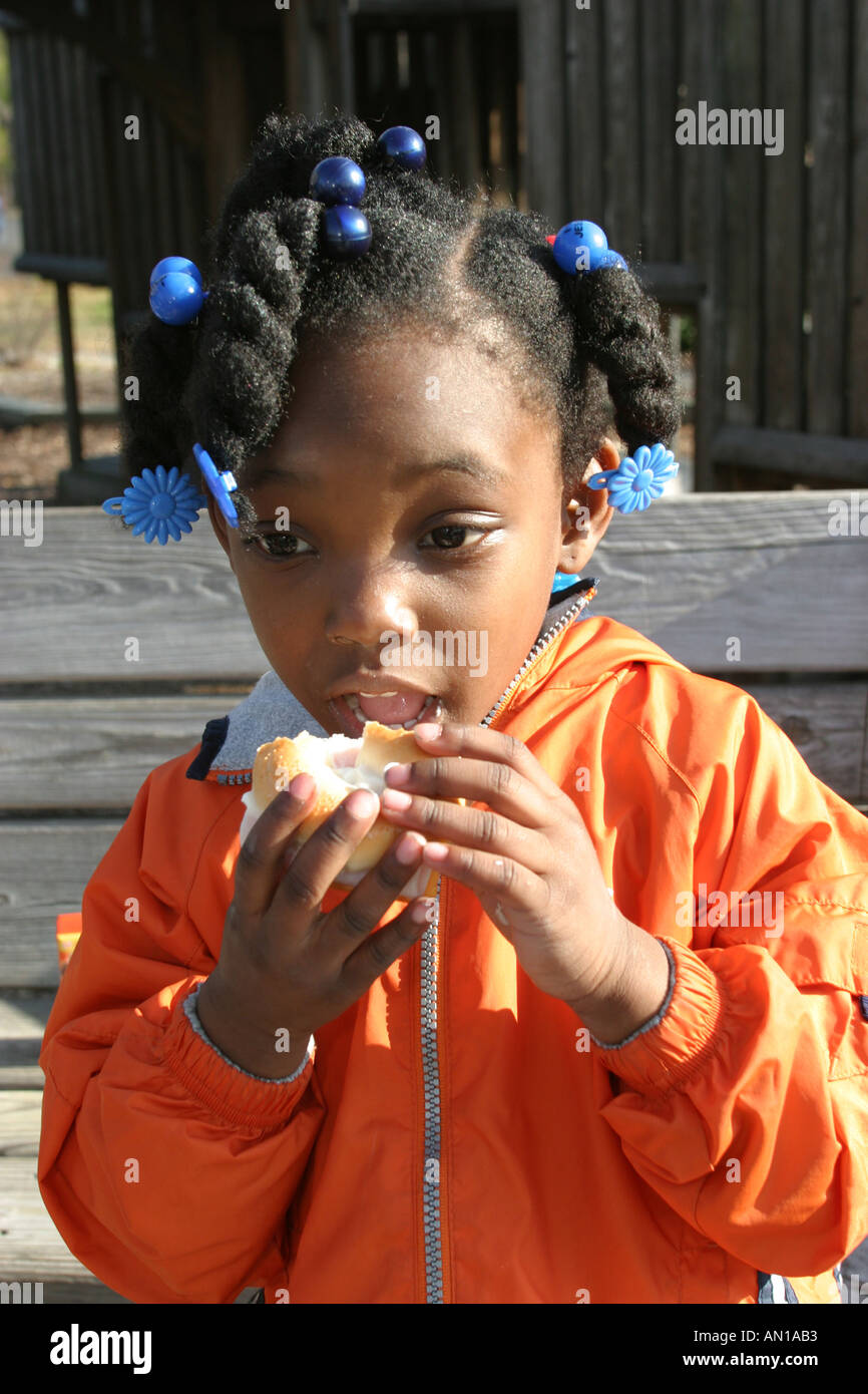 Newport News Virginia,Fort Fun,playground,child,children,adventure,recreation,exercise,health,medical,fitness,workout,play, picnic,visitors travel trav Stock Photo - Alamy Newport News Virginia,Fort Fun,playground,child,children,adventure,recreation,exercise,health,medical,fitness,workout,play, picnic,visitors travel trav Stock Photo - Alamy