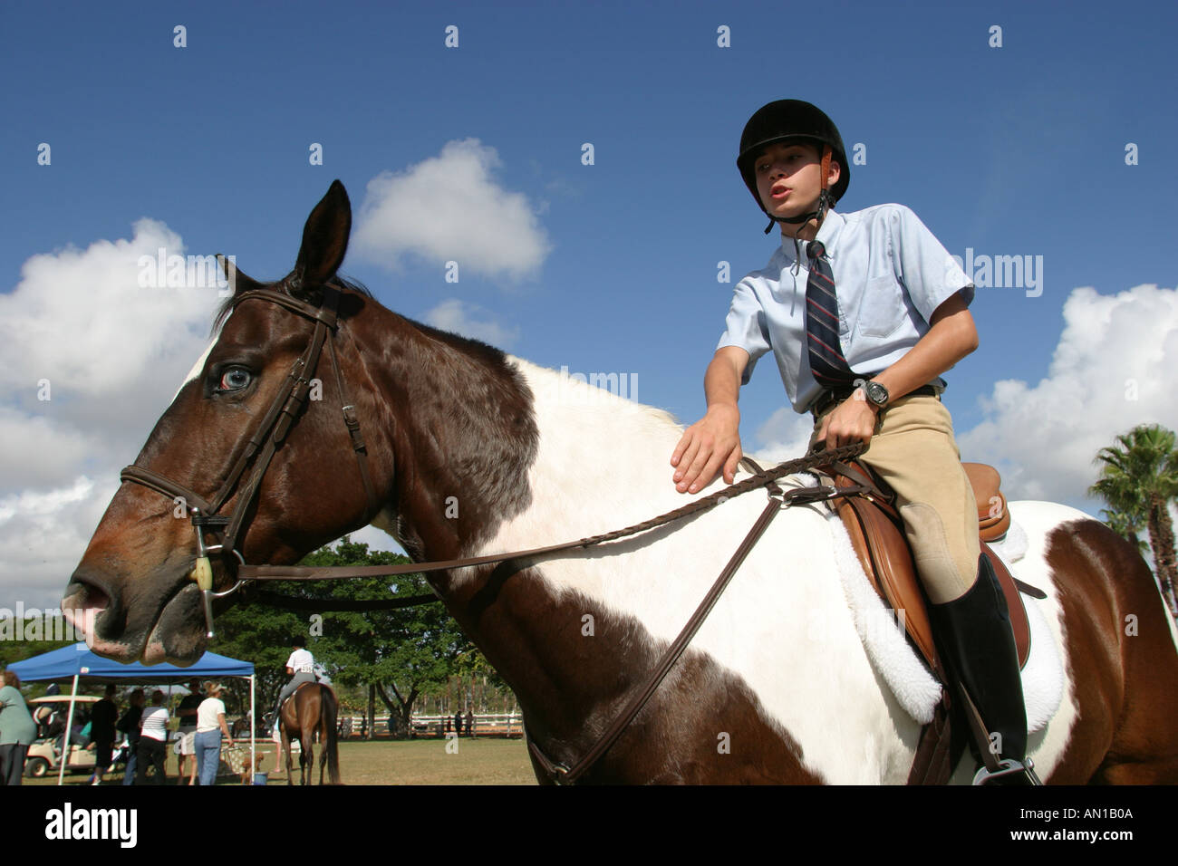 Miami Florida,Tropical Park,Heritage Horse Show horses,equine,animal