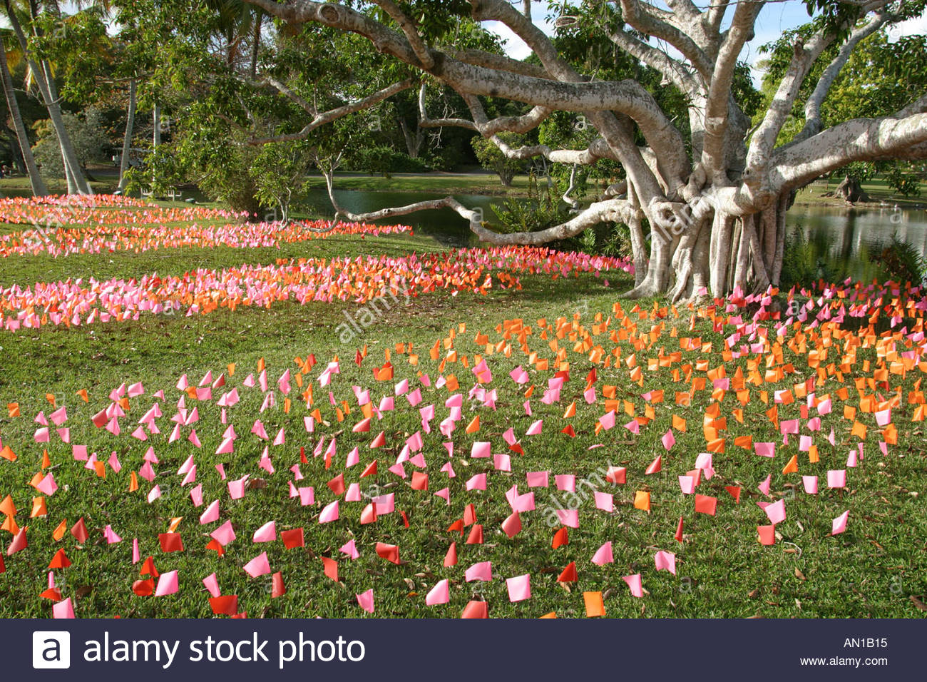 Coral Gables Miami Florida Fairchild Tropical Botanic Garden