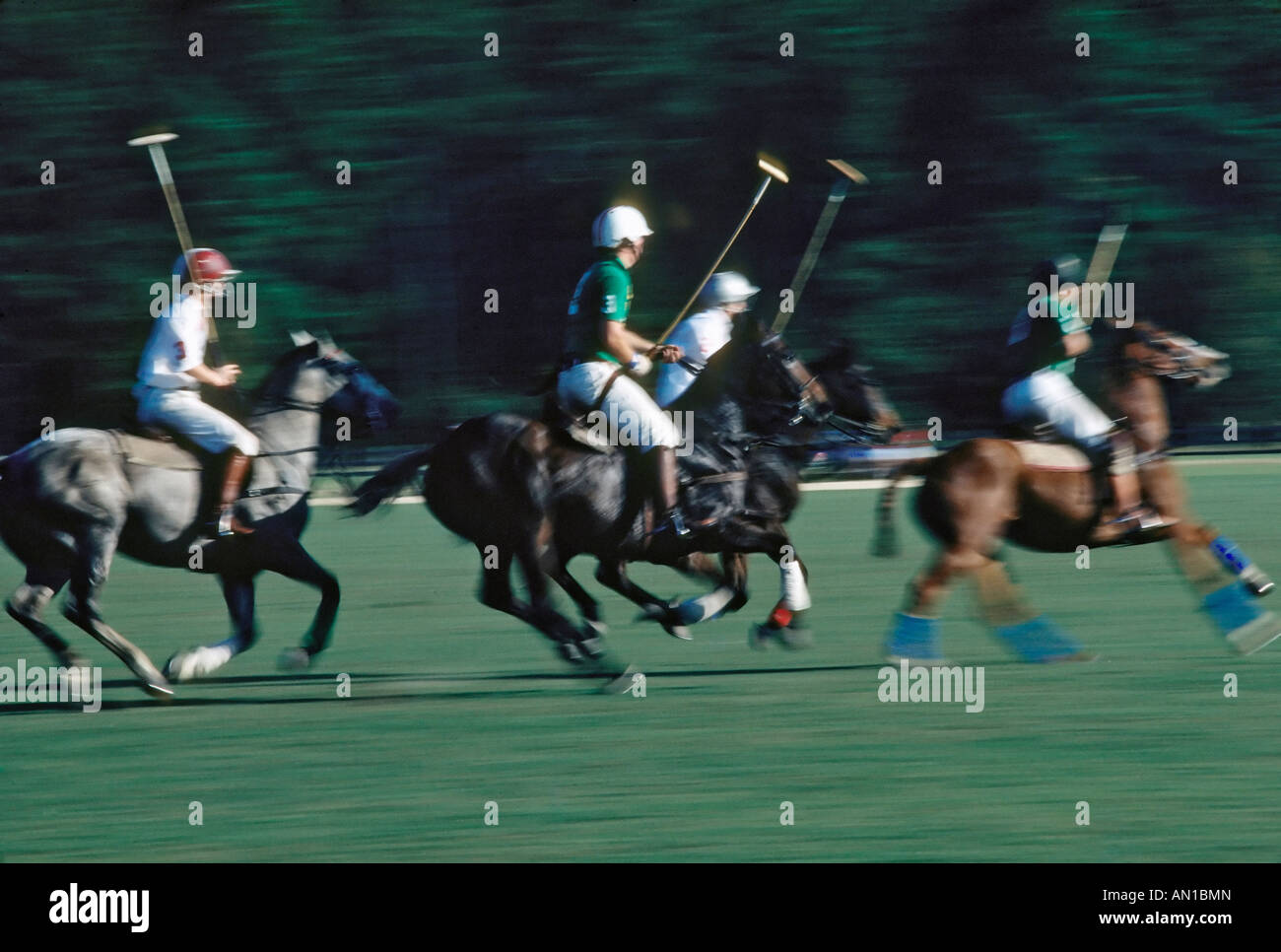 Polo match hires stock photography and images Alamy
