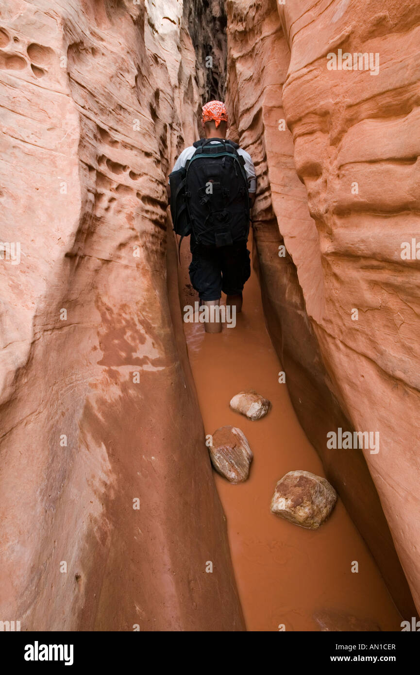 Hiker in the Little Wild Horse Canyon, Utah Stock Photo Alamy