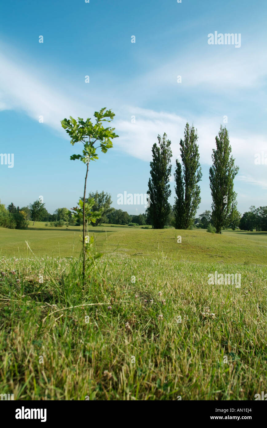 Golf Golfing Golfsport Stock Photo