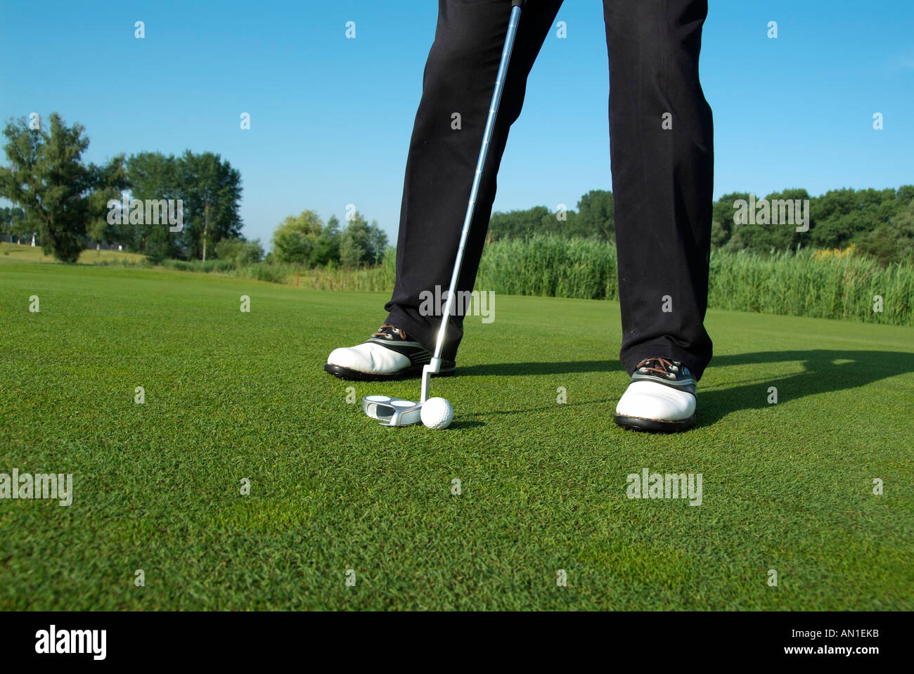 Golf Golfing Golfsport, close-up of a golf player putting his ball on greenfee Stock Photo