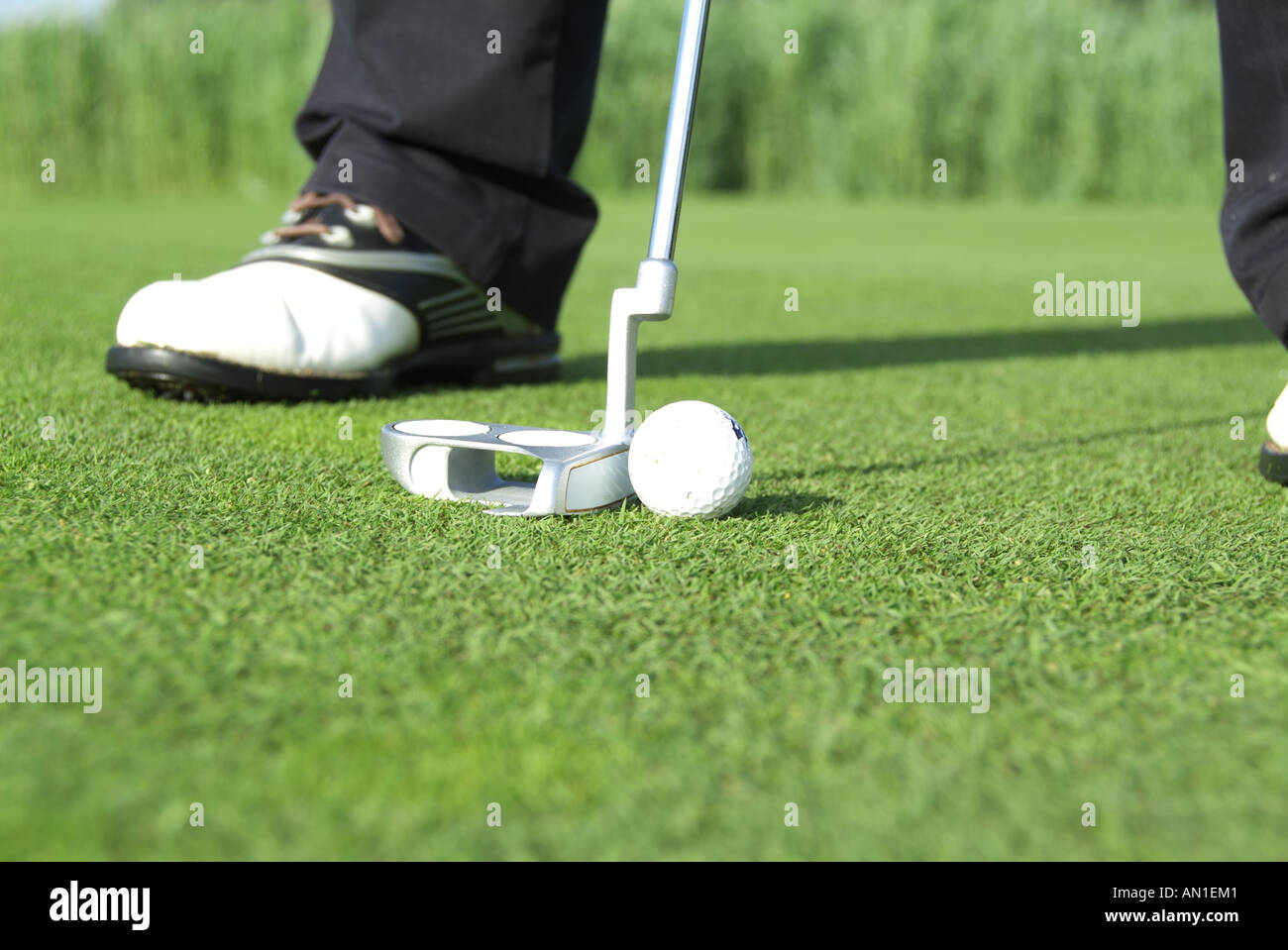 Golf Golfing Golfsport, close-up of a golf player putting his ball on greenfee Stock Photo