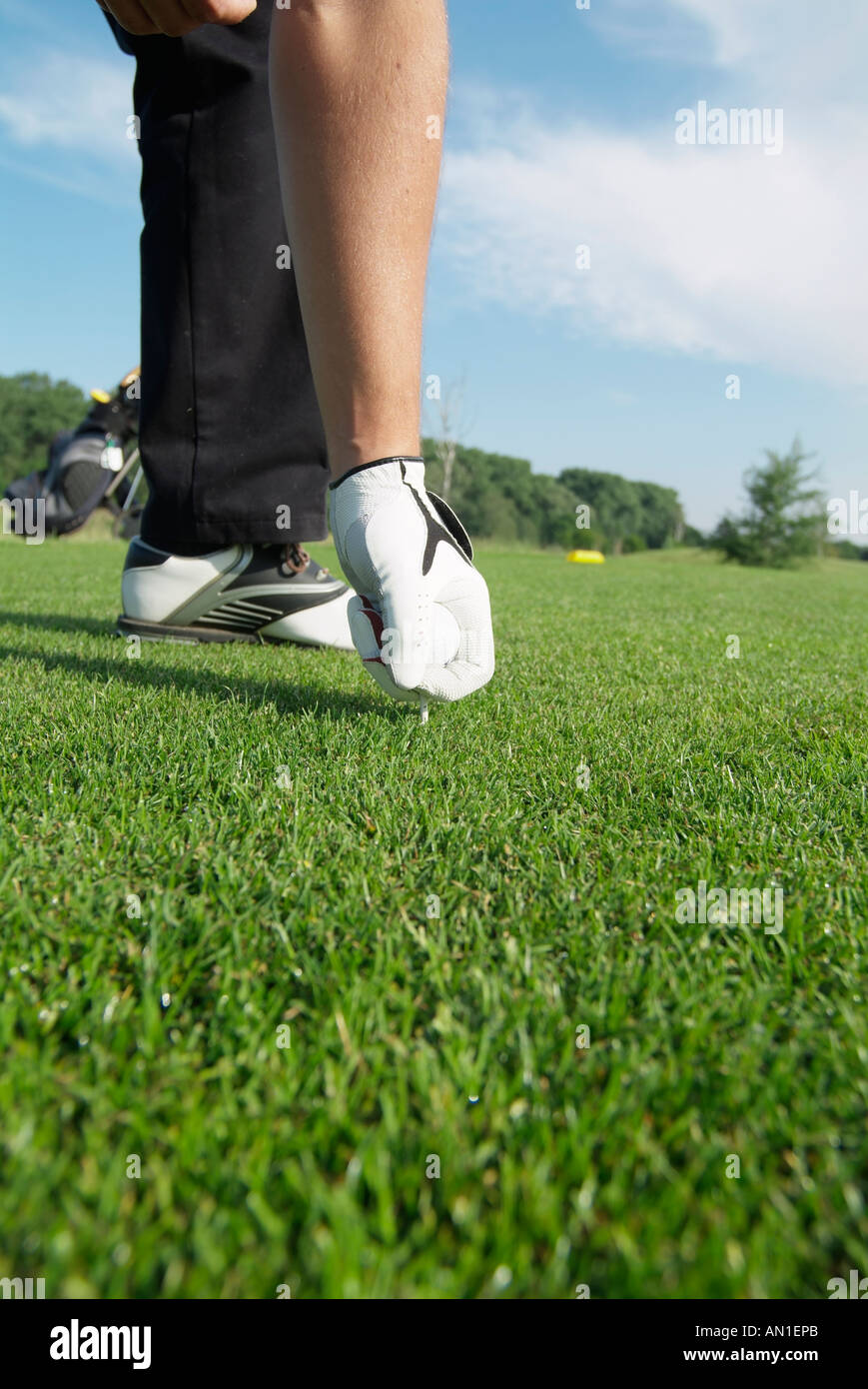 Golf Golfing Golfsport, detail of a golfer teeing his ball on greenfee Stock Photo