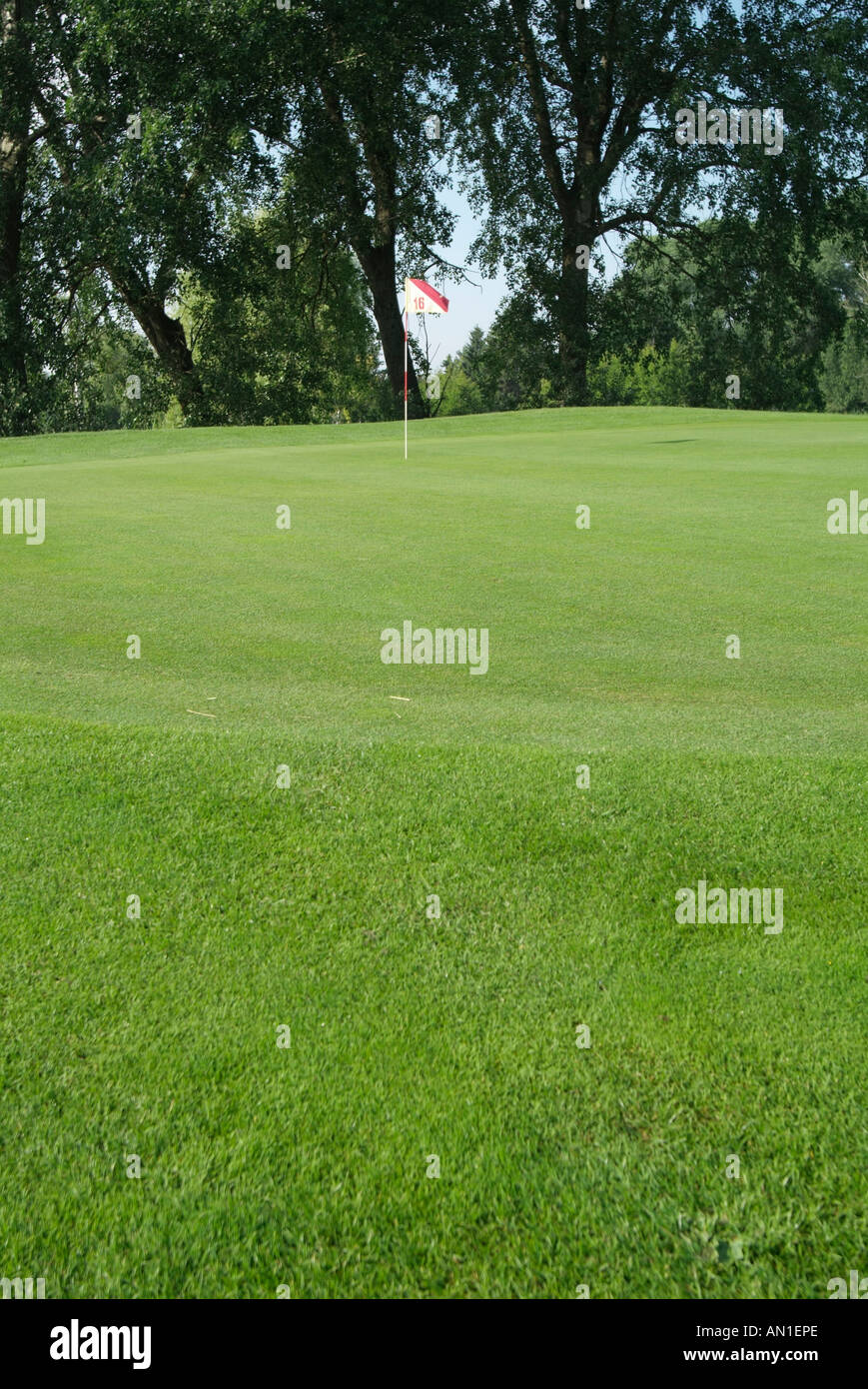 Golf Golfing Golfsport, detail of greenfee on golf course Stock Photo