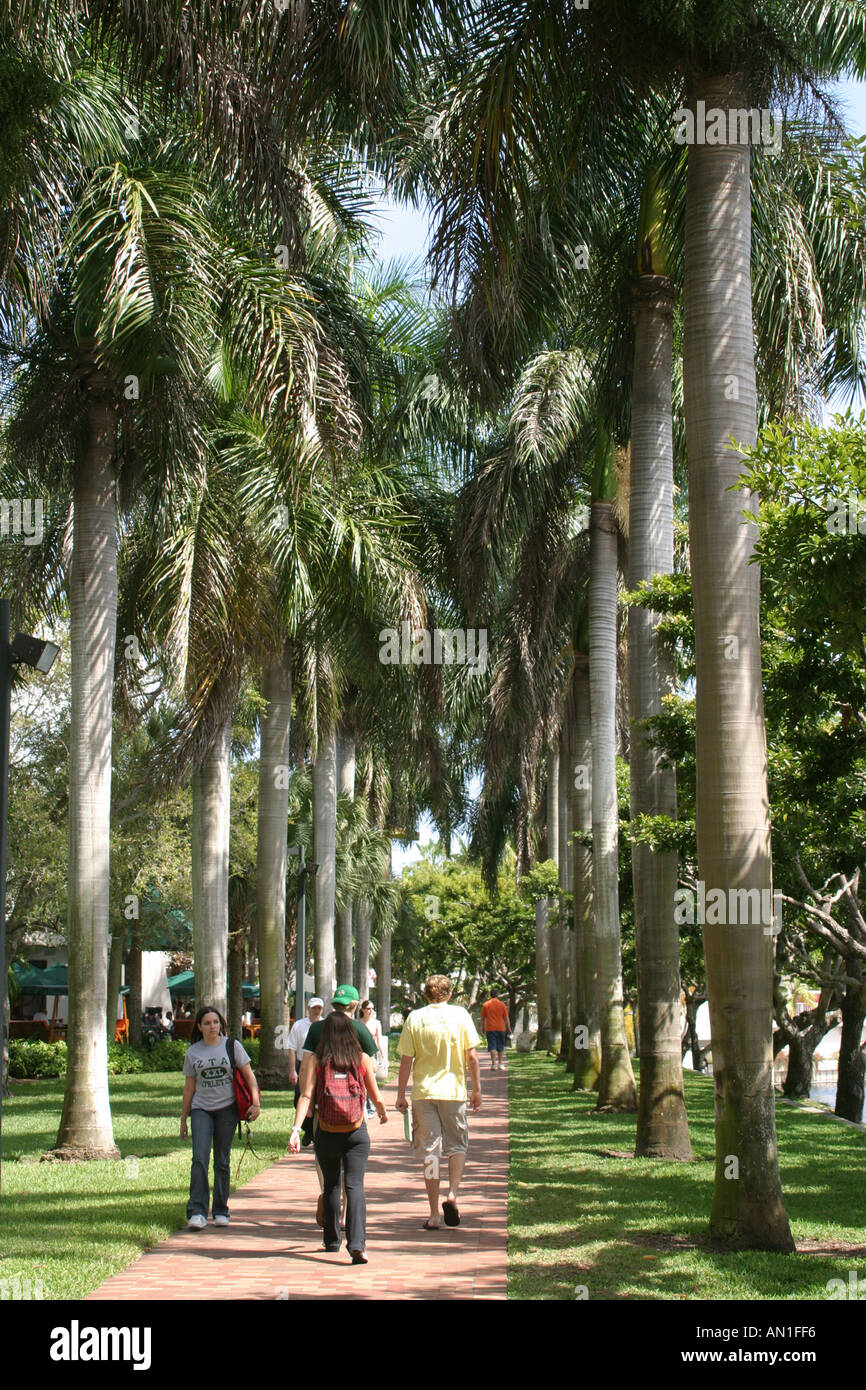 Miami Florida,Coral Gables,University of Miami campus,education,school,campus,learn learns learning,study,visitors travel traveling tour tourist touri Stock Photo