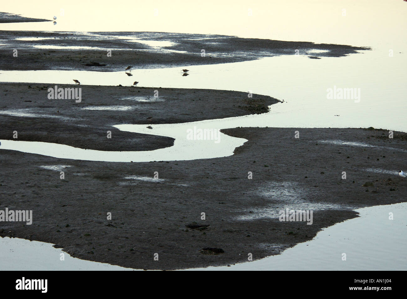 Tide runnels hi-res stock photography and images - Alamy