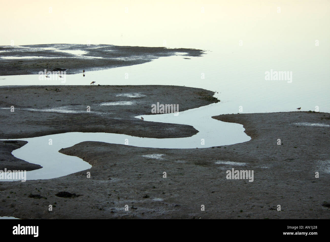 Tide runnels hi-res stock photography and images - Alamy