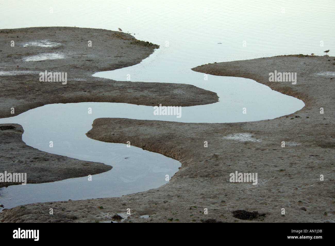 Tide runnels hi-res stock photography and images - Alamy