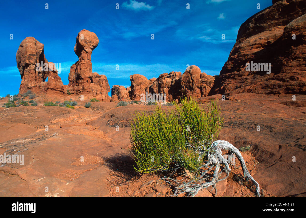 Balanced Rock and accompanying monoliths, USA, Utah, Arches NP Stock Photo