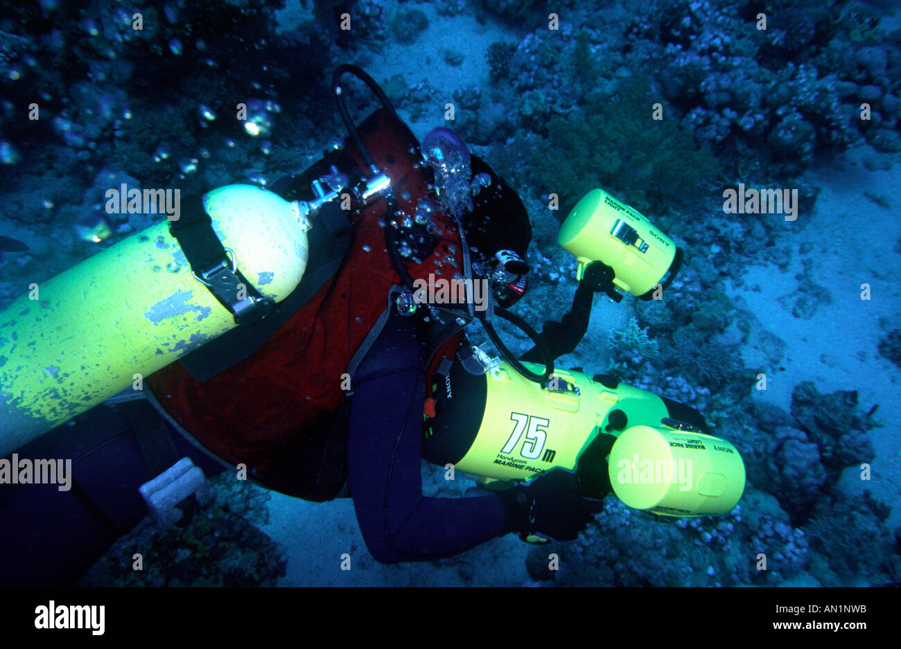 Egypt Red Sea Scuba Diver with underwater video camera Stock Photo Alamy