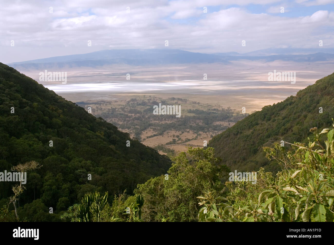 View into Ngorongoro Crater from the southern ascent road, Tanzania Stock Photo