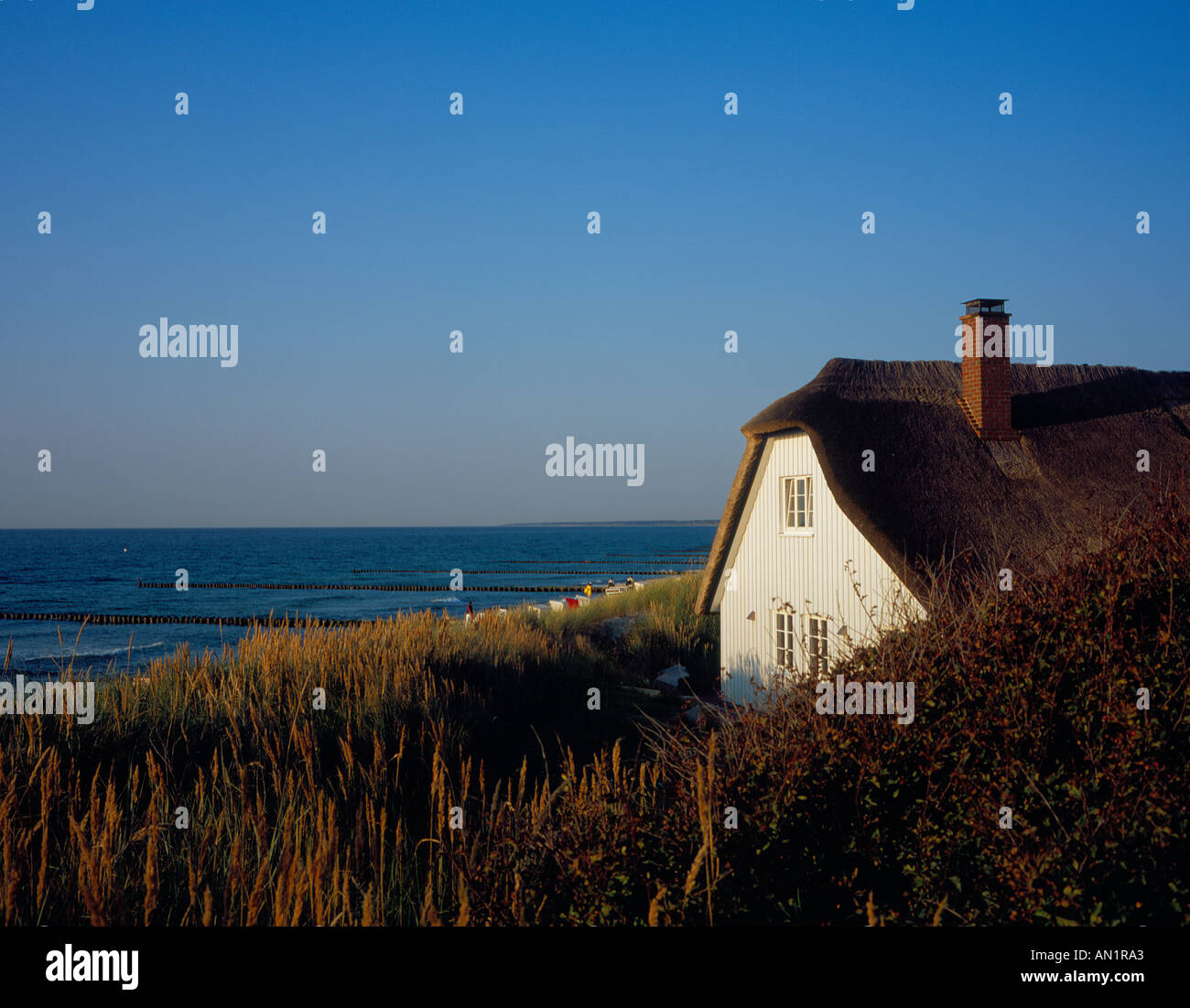 house by the sea Ahrenshoop Darss Mecklenburg Vorpommern Baltic Sea Germany Europe. Photo by Willy Matheisl Stock Photo