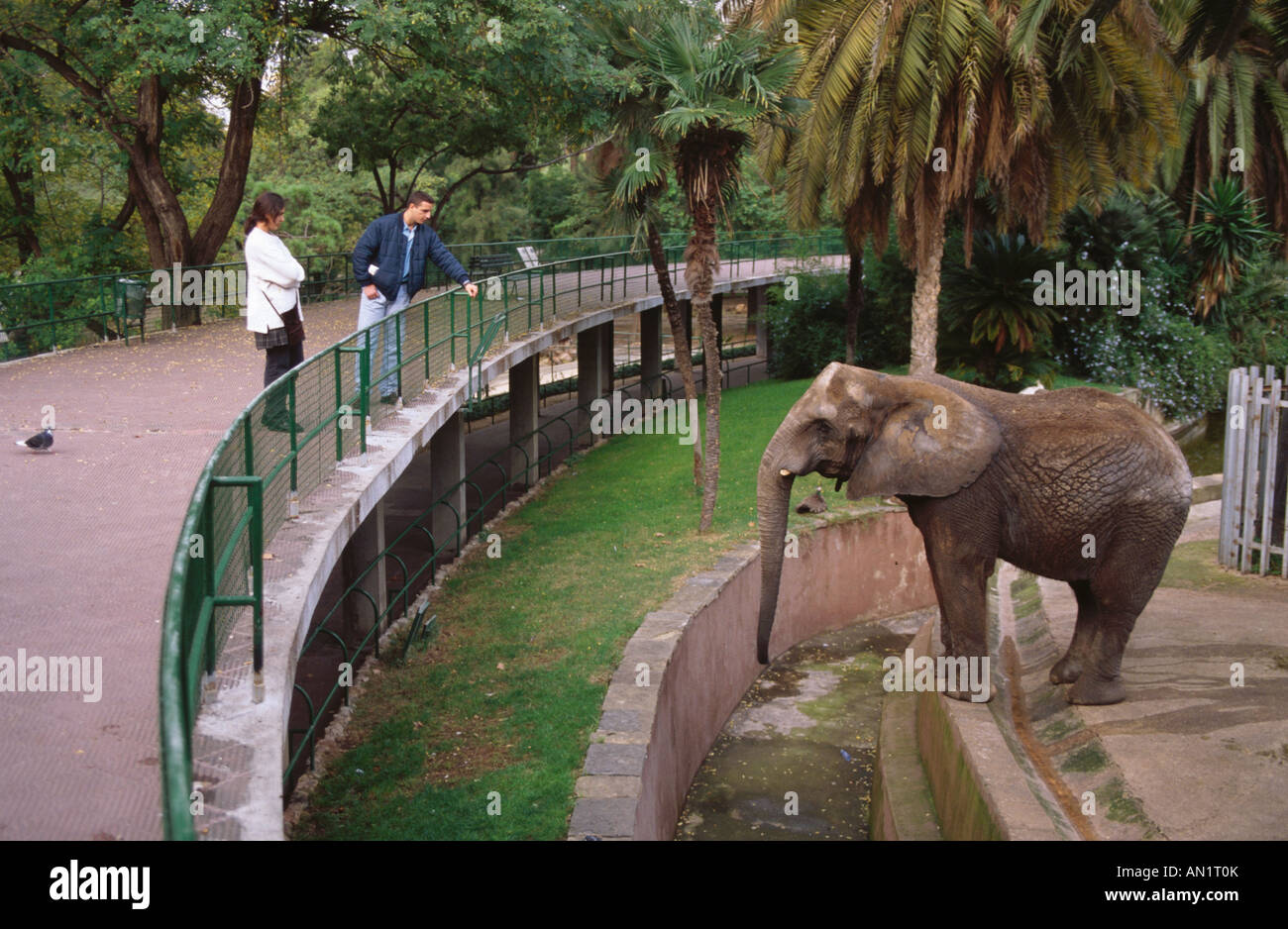 Visitors at zoo standing outside elephant enclosure looking at elephant