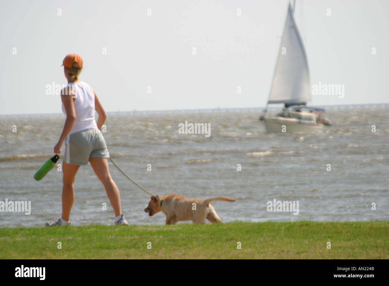 Louisiana Lake Pontchartrain Mandeville,Lakeshore Drive,resident walks dog dogs,Man's Best Friend,sailboat,visitors travel traveling tour tourist tour Stock Photo