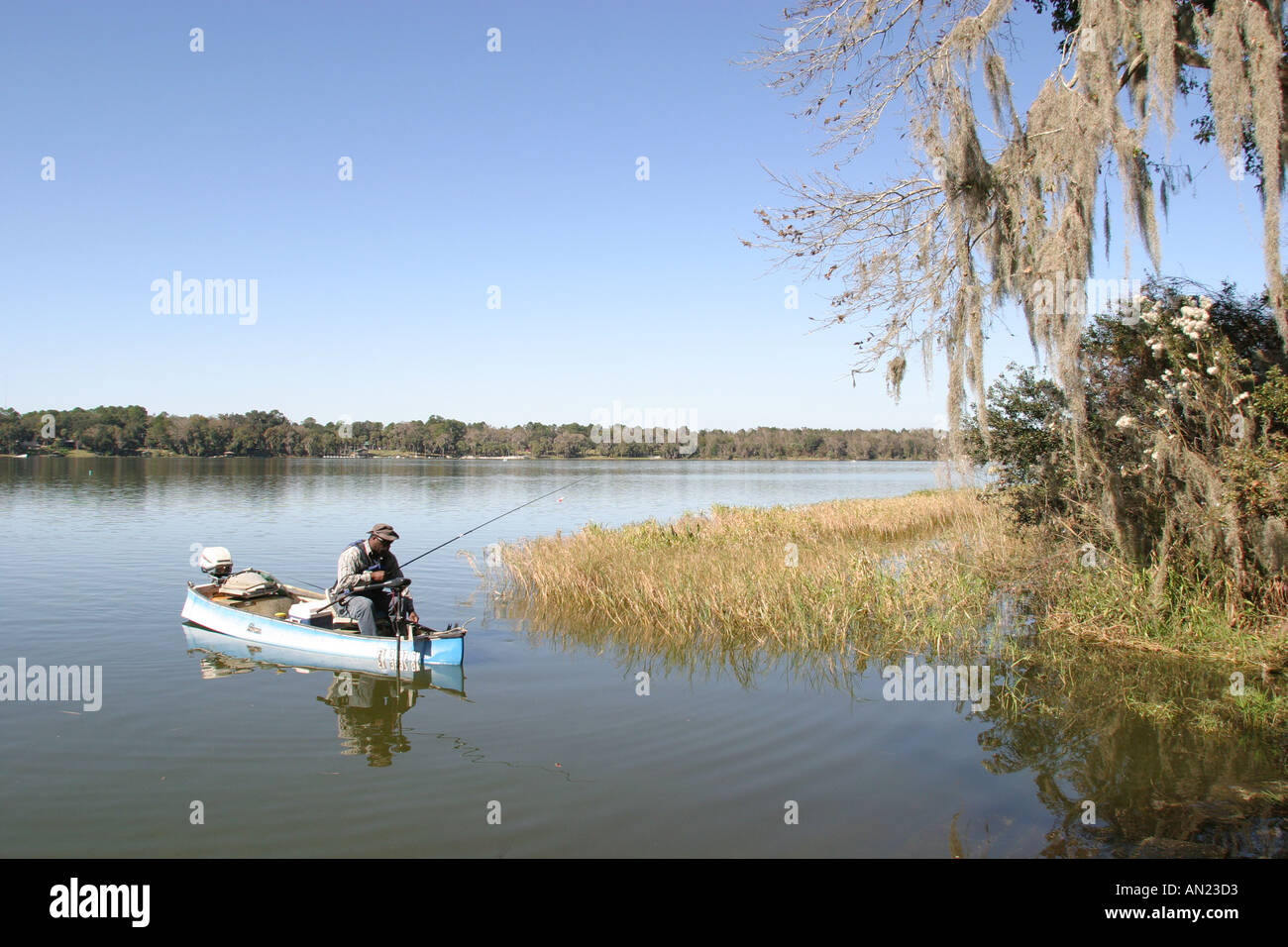 Florida Paynes Prairie State Preserve,aves,avian,nature,natural,wildlife viewing,trails,hiking,Lake Wauberg,boating,fishing,sport,athlete,recreation,w Stock Photo