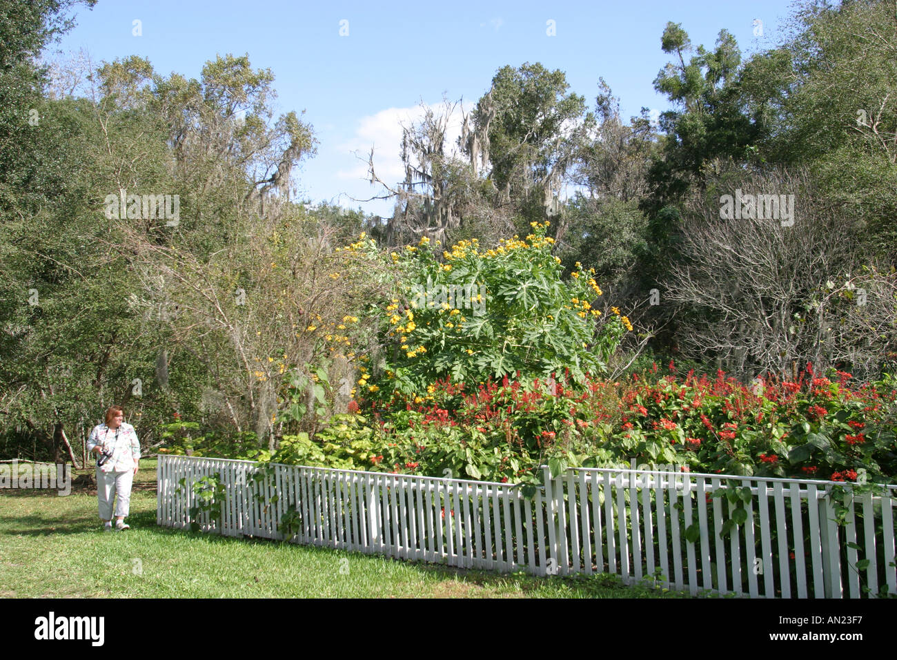 Gainesville Florida,Kanapaha Botanical Gardens,Hummingbird Garden,rare