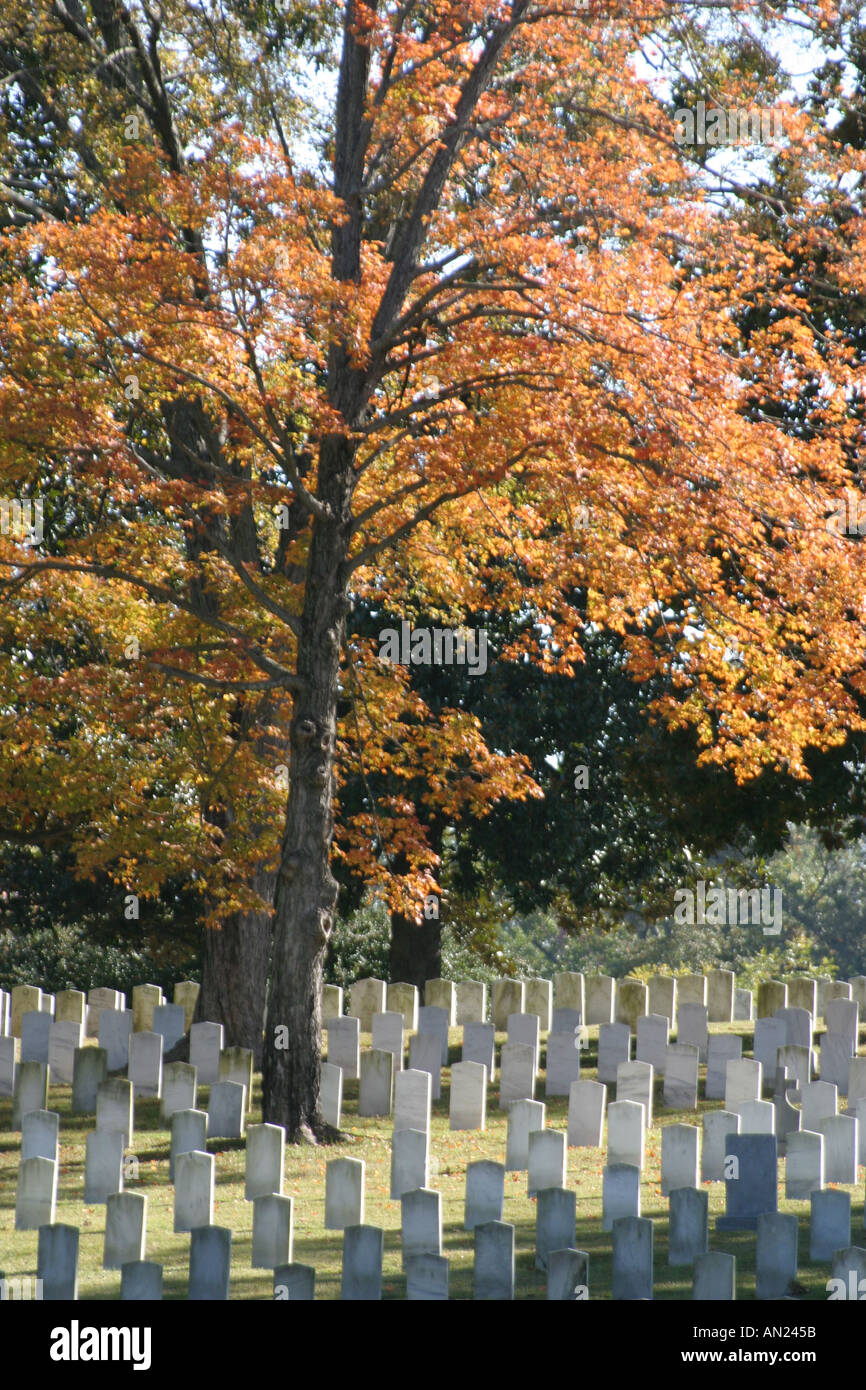 Oakwood cemetery hi-res stock photography and images - Alamy