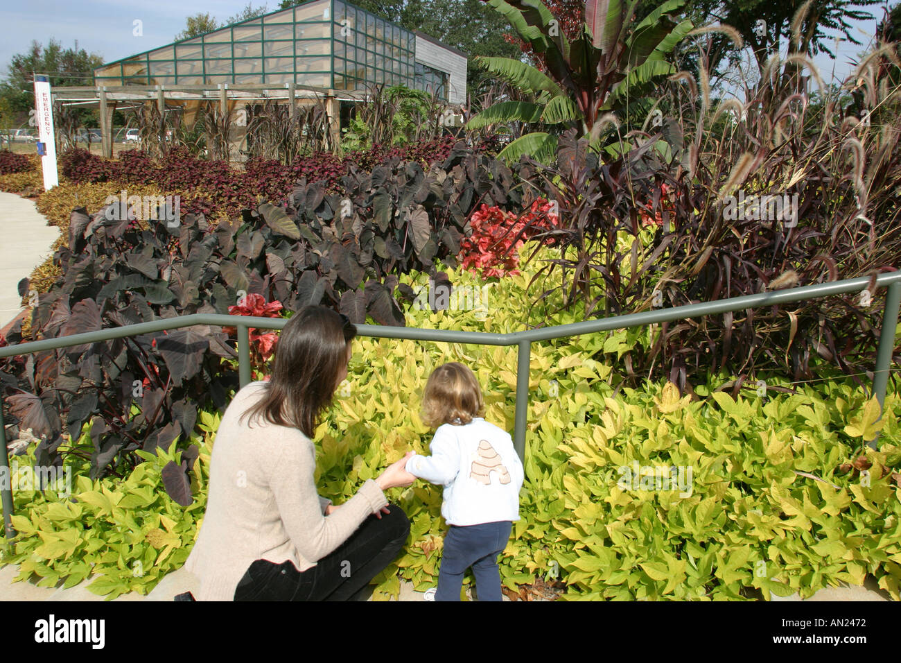 Raleigh North Carolina,State Farmers Market,farmer's,farmers',produce