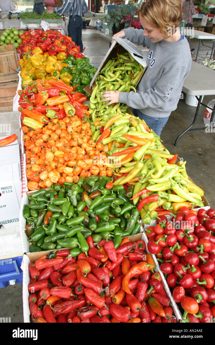 Raleigh North Carolina,State Farmers Market vegetables produce vendor