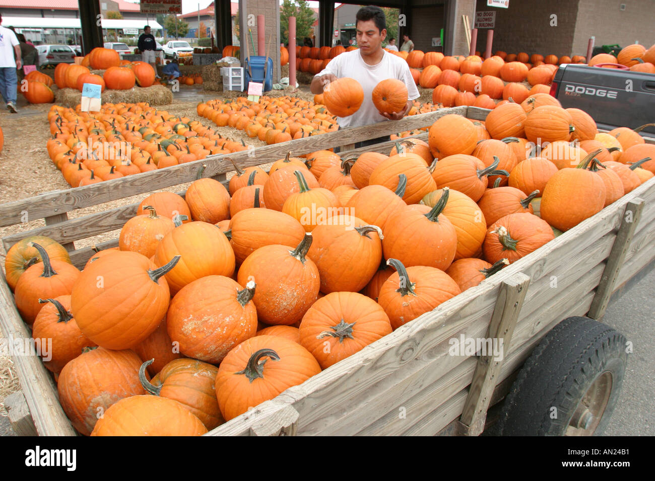Are Dogs Allowed At The Nc State Farmers Market