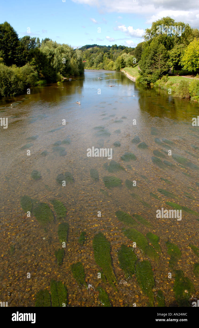 Summer view river usk hi-res stock photography and images - Alamy