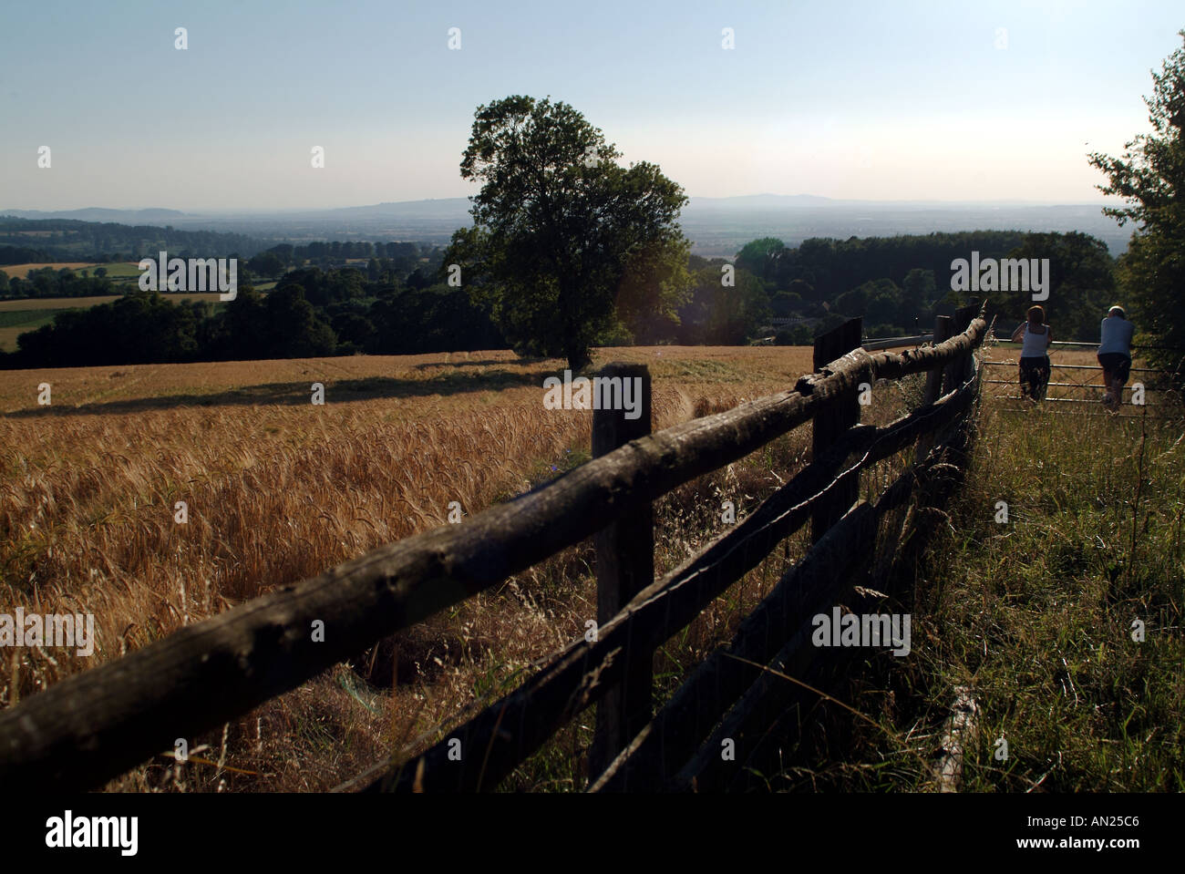 Beautiful english countryside wheat hi-res stock photography and images ...