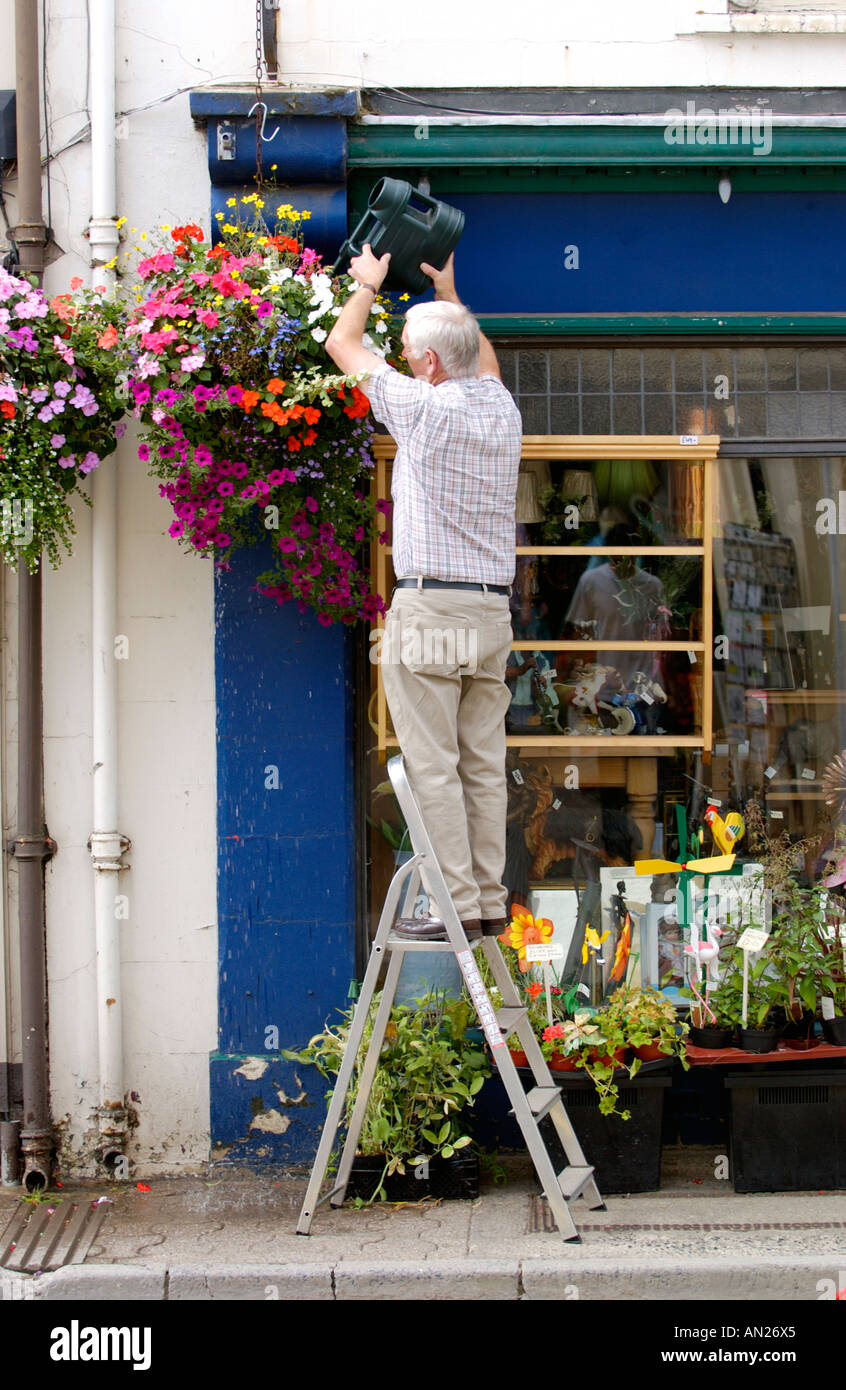 Watering hanging baskets using can outside shop in Usk, town annually competes in both Wales and