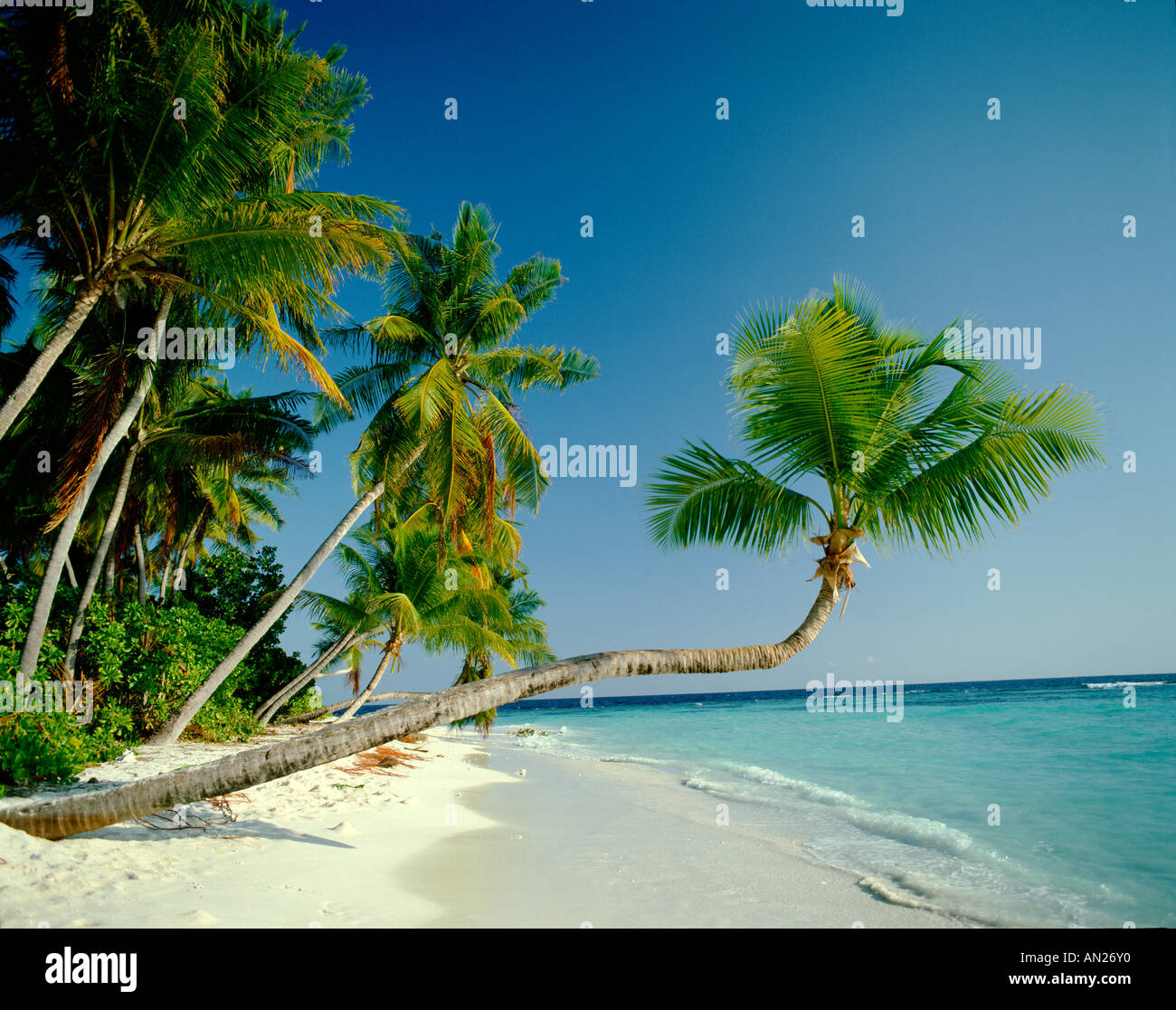 Tropical Beach Seascape Wall Poster Faux Window Wall Art