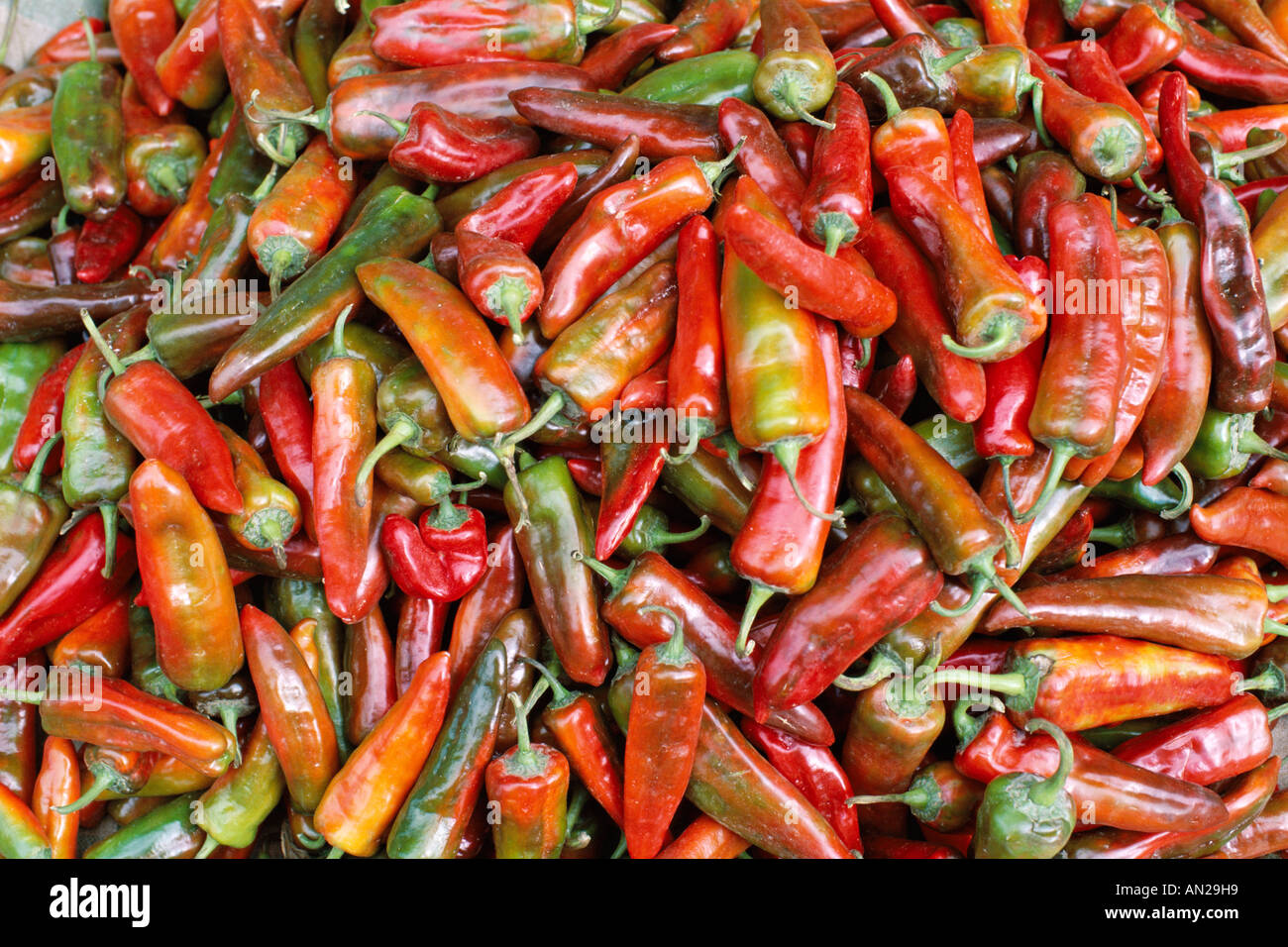 Chillies hi-res stock photography and images - Alamy