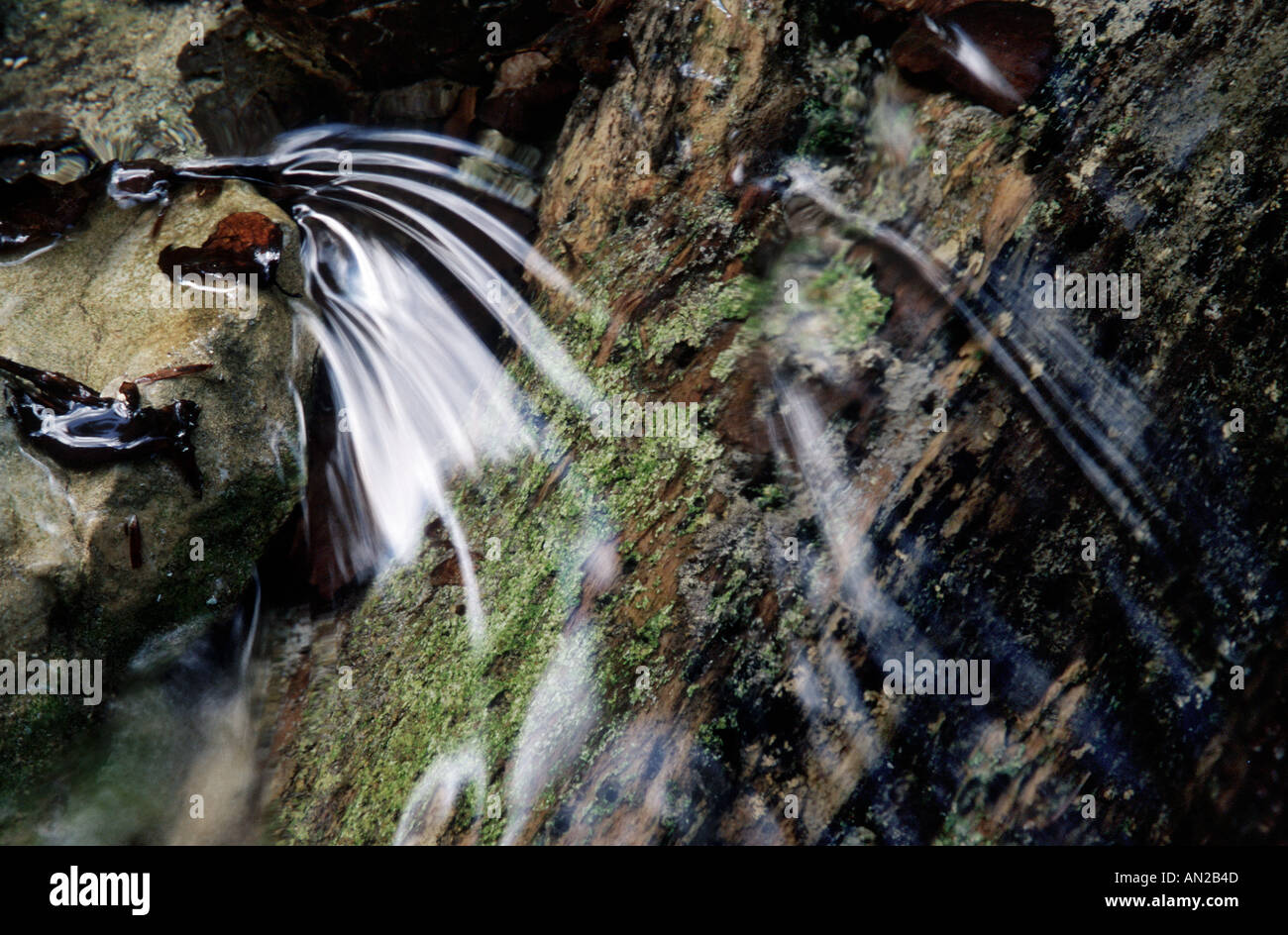 Water and leaves leaf abstraction in mountain brook Stock Photo