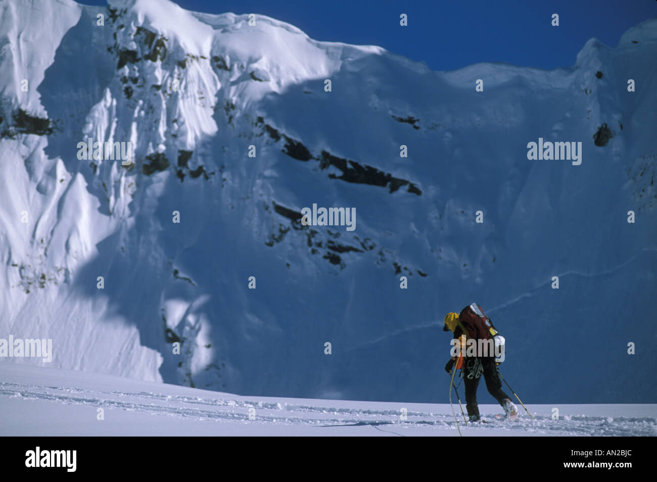 Mountain skier, Alaska Stock Photo