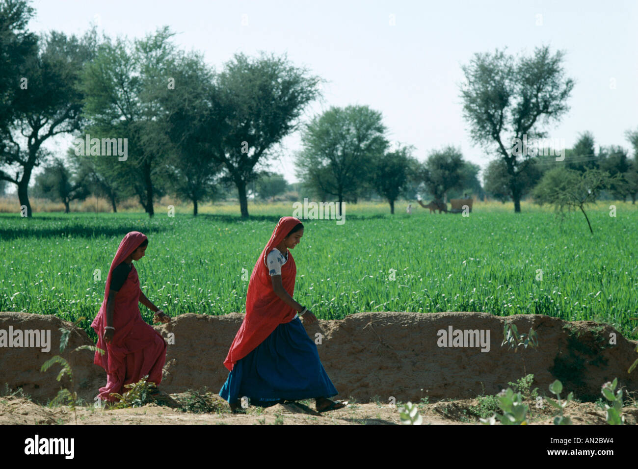 Farming women walking in fields hi-res stock photography and images - Alamy