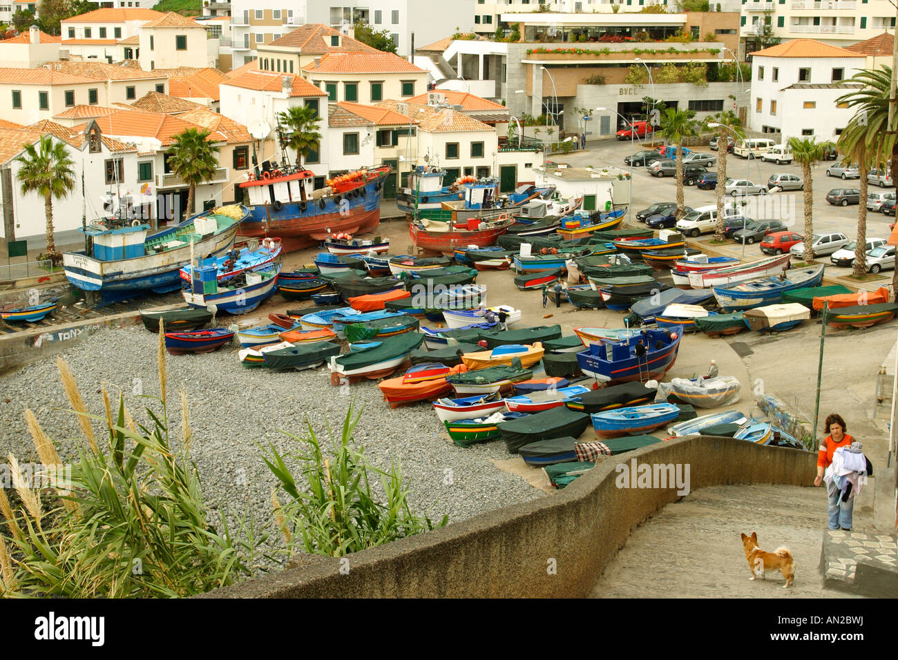 Portugal Madeira Fischerboote am Hafen von Camara de Lobos Stock Photo