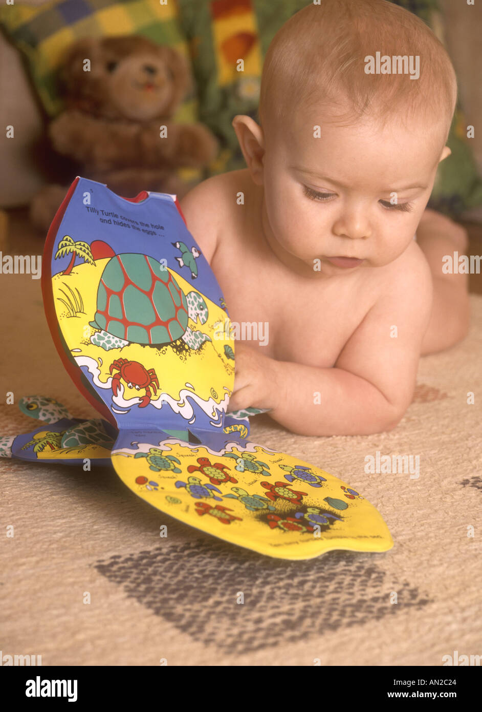 Baby boy looking at a picture book Stock Photo Alamy