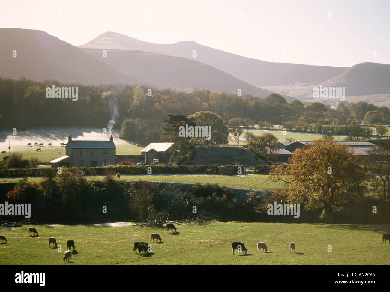 UK Wales Powys Brecon Beacons Farm DW1 Stock Photo Alamy