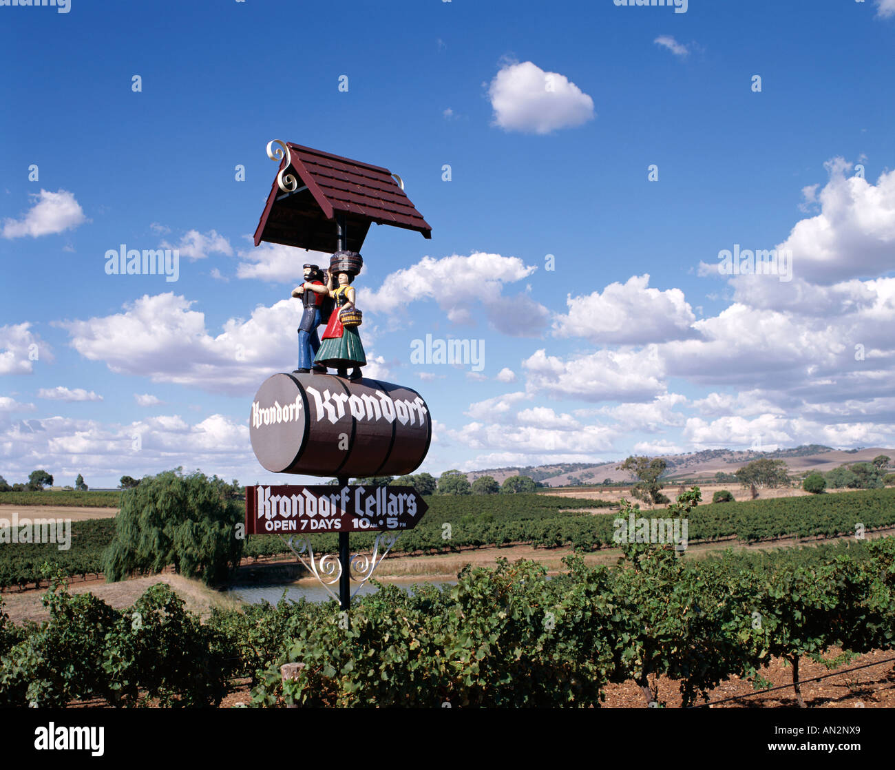 Nuriootpa / Barossa Valley / Vineyards, Adelaide, South Australia, Australia Stock Photo