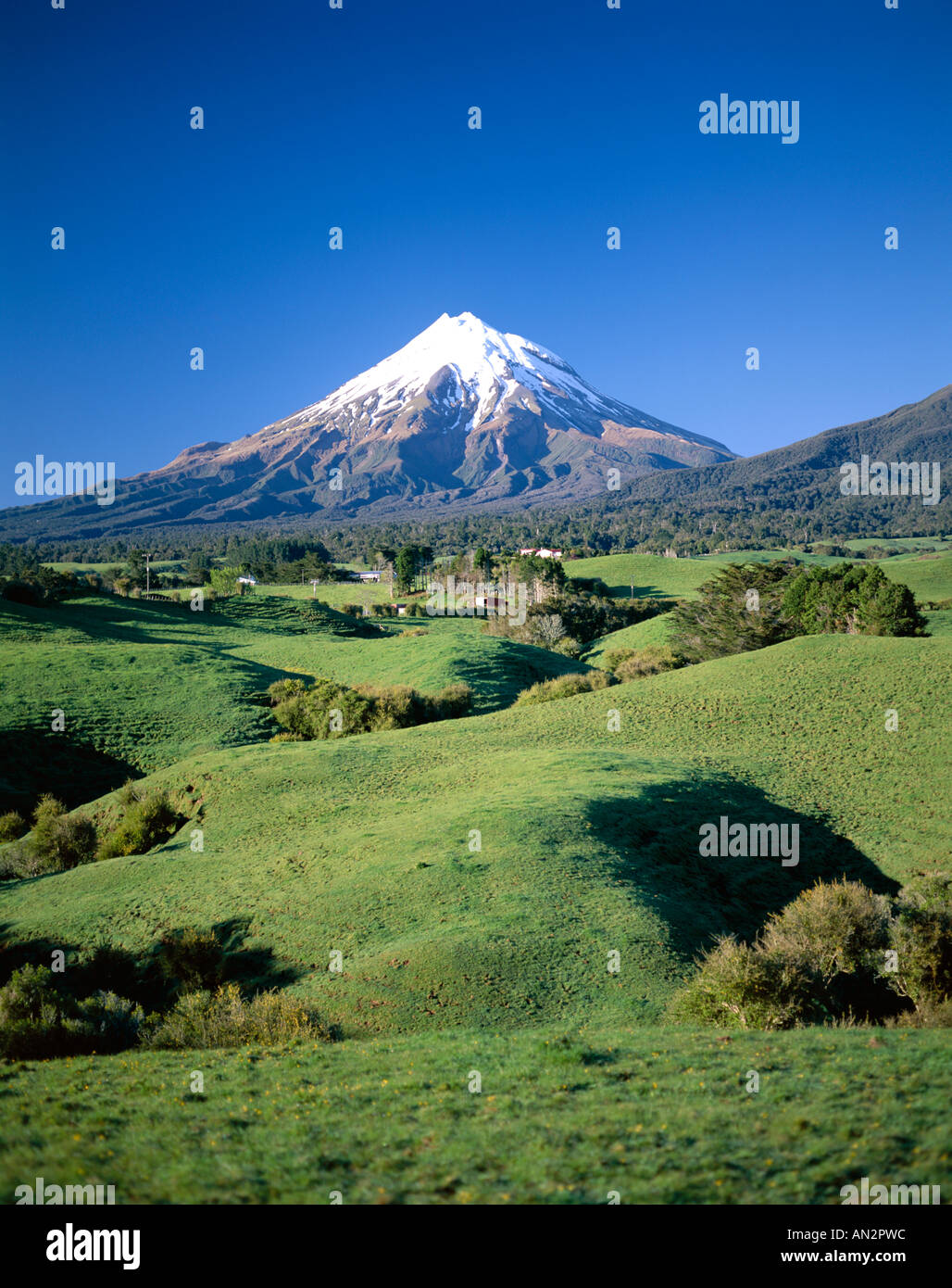 Egmont National Park / Mt.Egmont (Mt.Taranaki), Taranaki, North Island, New Zealand Stock Photo