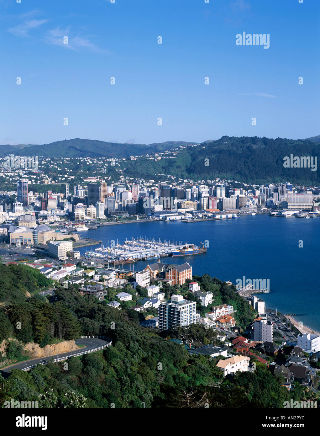 City Skyline & Harbour, Wellington, North Island, New Zealand Stock Photo